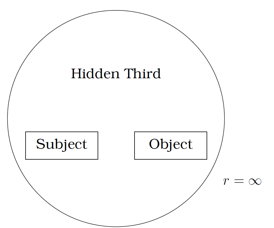 Nicolescu's transdisciplinarity